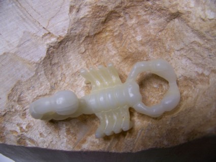Skorpion 1